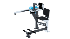 outdoor gym equipment for back